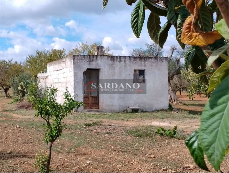 Clicca per ingrandire la foto