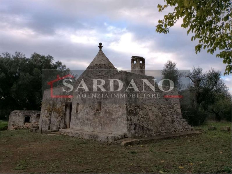 Clicca per ingrandire la foto