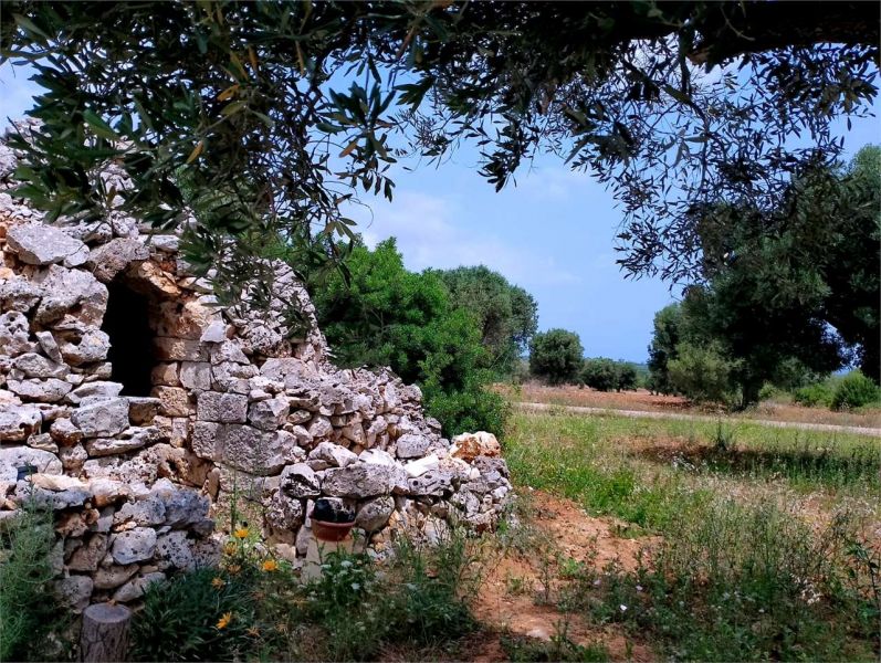 Clicca per ingrandire la foto