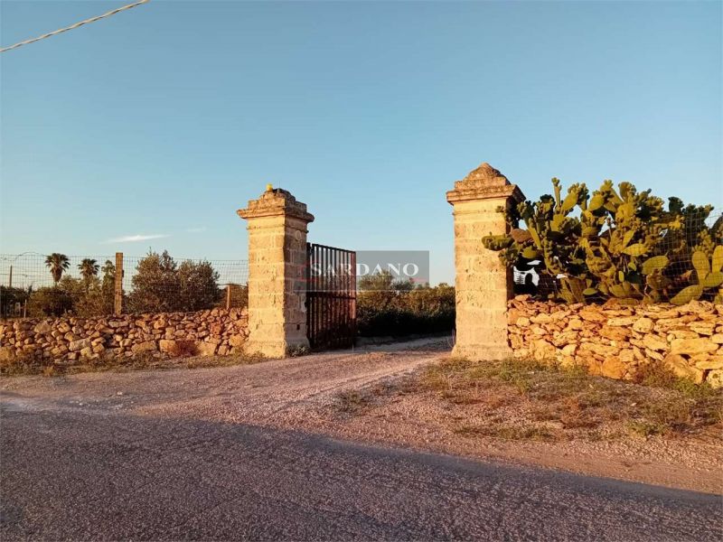 Clicca per ingrandire la foto