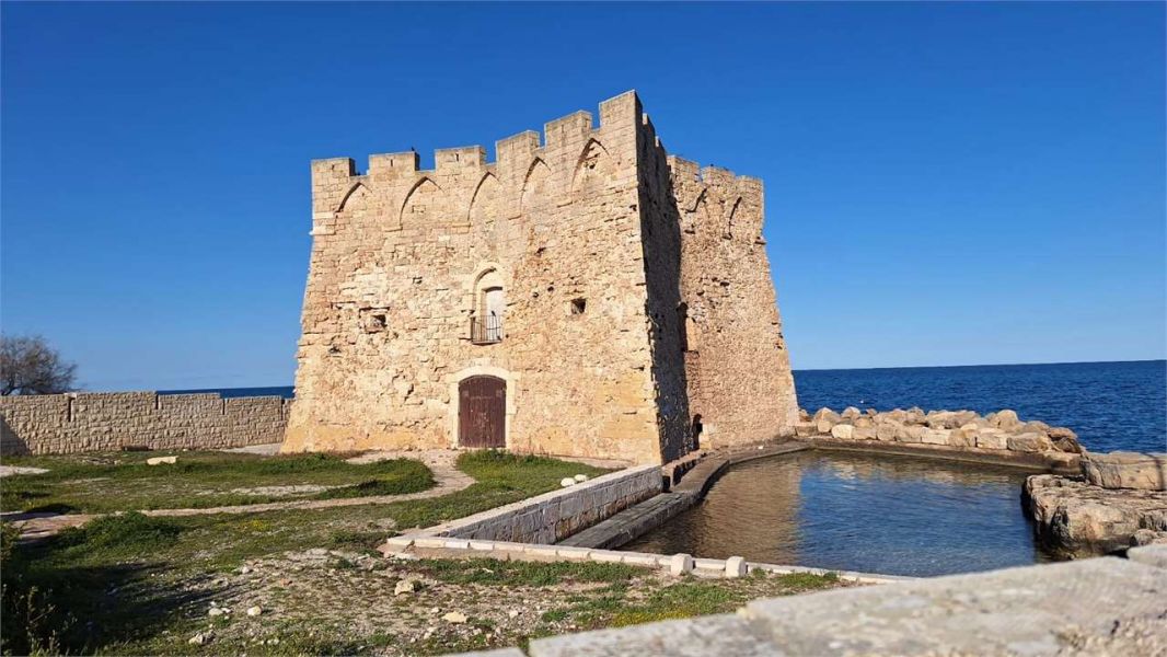 Clicca per ingrandire la foto