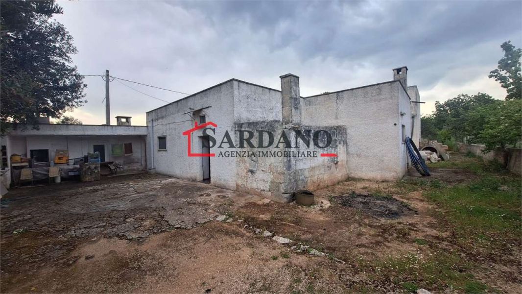 Clicca per ingrandire la foto